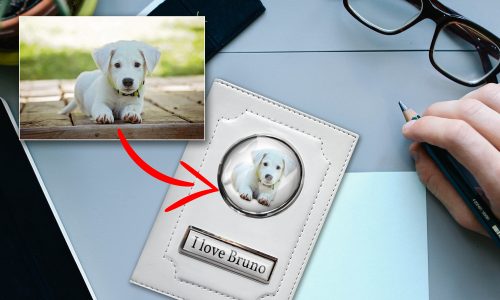 Car documents holder white with the dog photo
