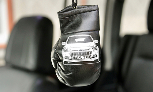 Boxhandschuhe für Autospiegel mit Auto u. Kennzeichen bestellen!