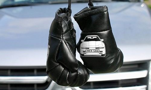 Boxhandschuhe für Autospiegel mit Auto u. Kennzeichen bestellen!