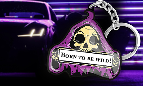 https://auto4style.com/wp-content/uploads/2023/07/gallery-skull-keychain-license-plate-1-01.jpg