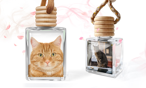 Glas-Lufterfrischer mit personalisiertem Foto deiner Katze
