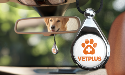 Désodorisant de voiture avec logo de marque – à accrocher au rétroviseur