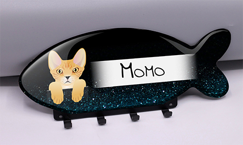 Wall keyholder for pet owners