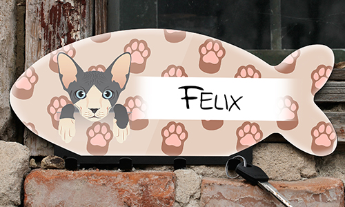 gallery-keyboard-cat-2