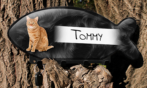 gallery-keyboard-cat-4
