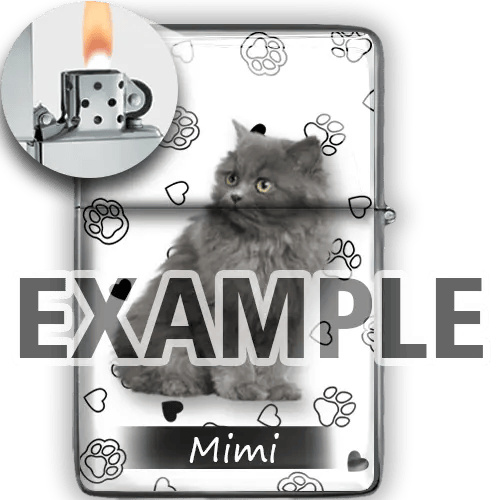 Lighter Pet Basic